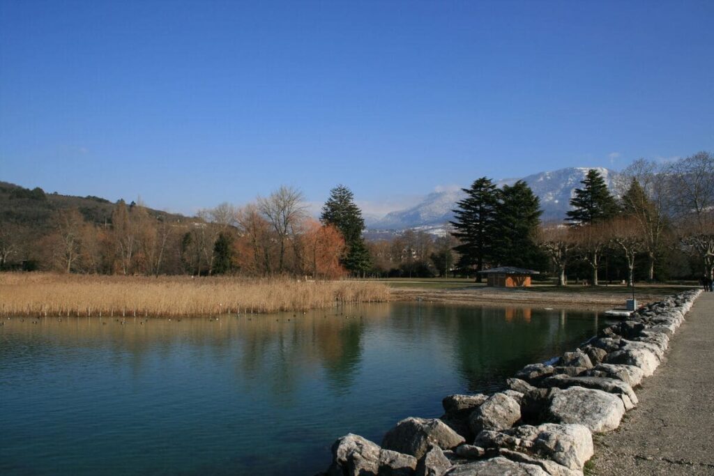 abattage arbres aix les bains pour musilac