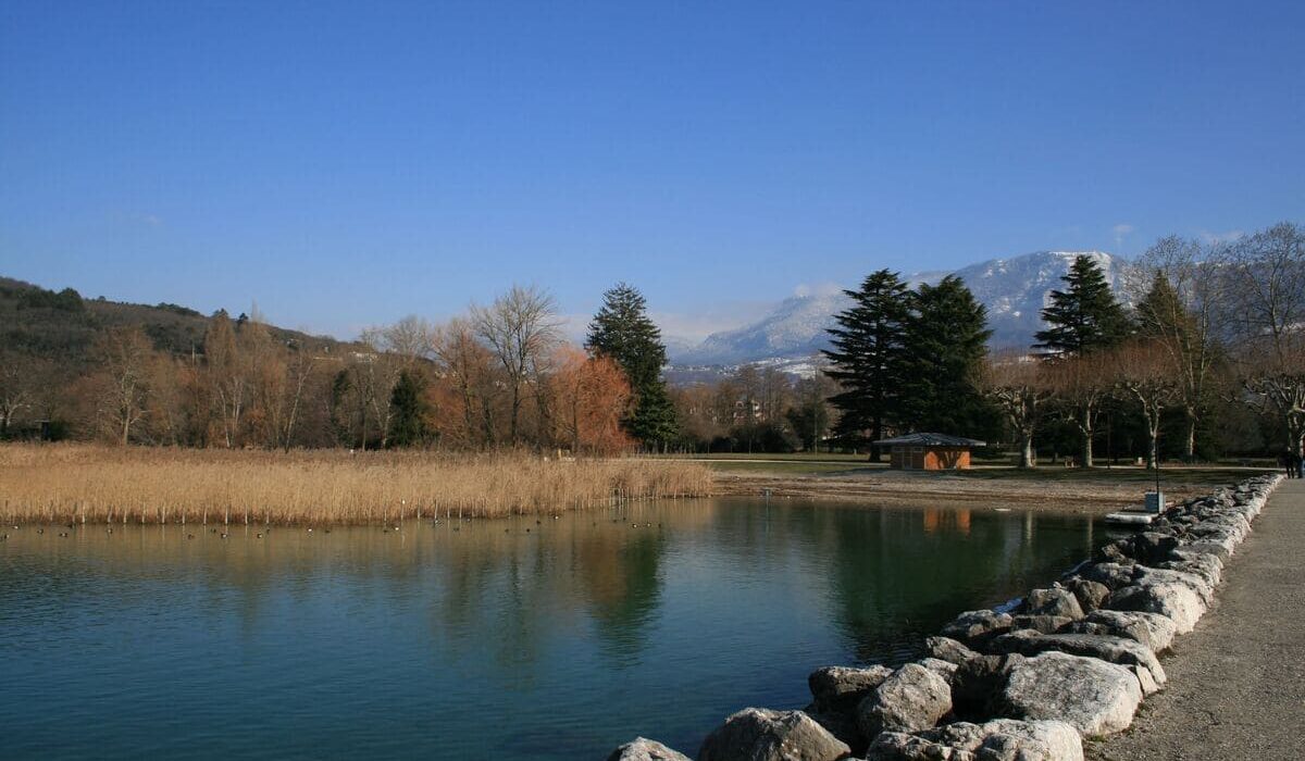 abattage arbres aix les bains pour musilac