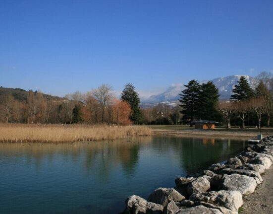 abattage arbres aix les bains pour musilac