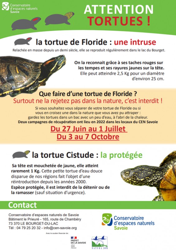 affiche tortues floride lac du bourget