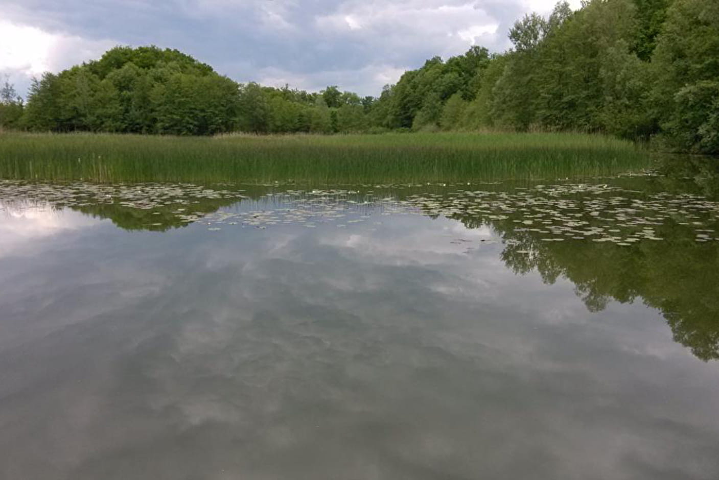 marais d'albens entrelacs lac bourget 09