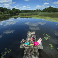 marais d'albens entrelacs lac bourget
