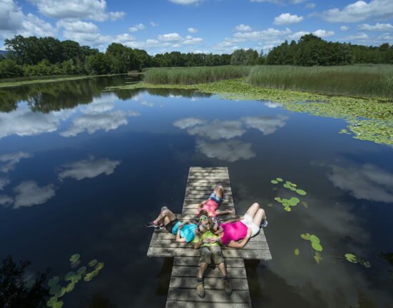 marais d'albens entrelacs lac bourget