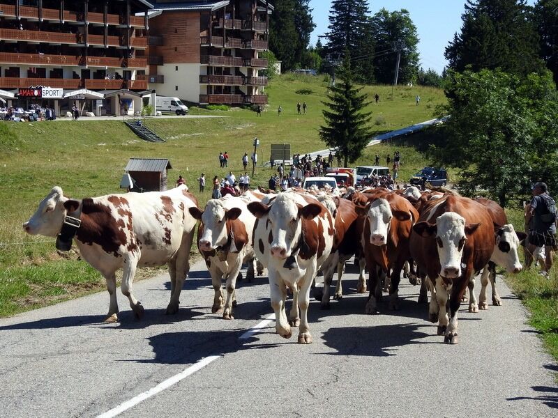 Fête des Alpages du Mont Revard