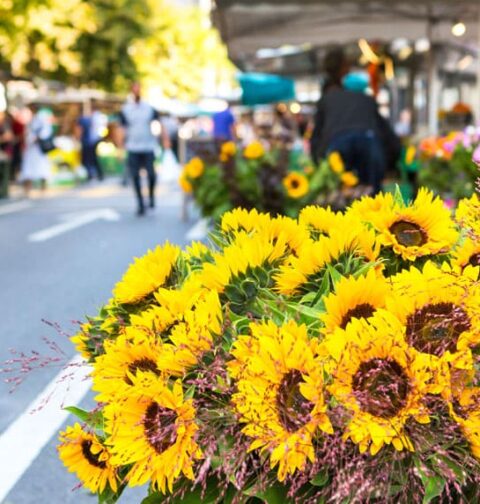 Marchés locaux lac du Bourget