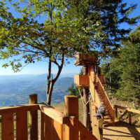 Parcours dans les arbres Dent du Chat