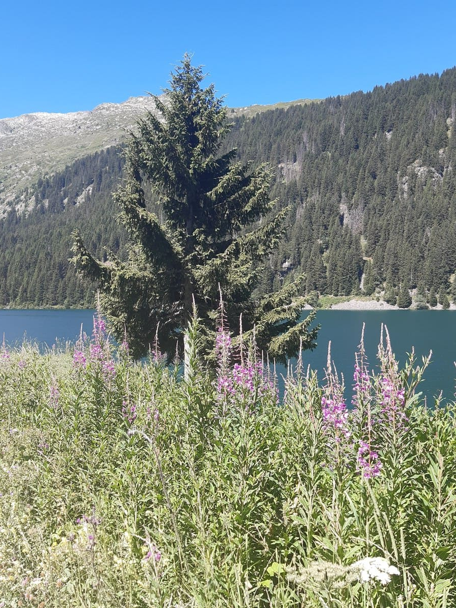 lac des fees randonnee