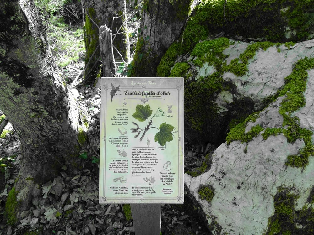 bourget du lac sentier botanique de Filéas