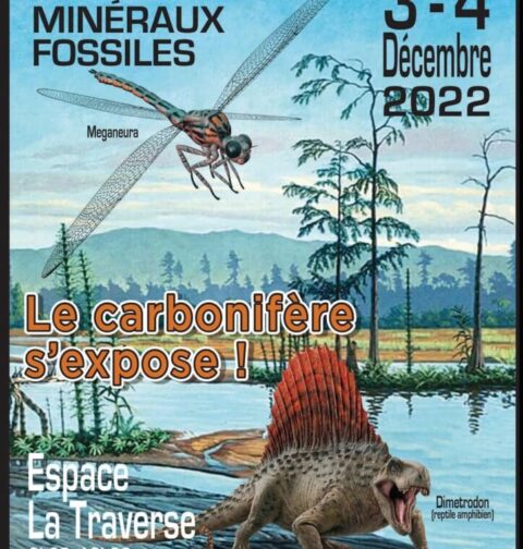 Salon-Mineraux-et-Fossiles-Le-Bourget-du-Lac