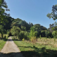 bois vidal aix les bains