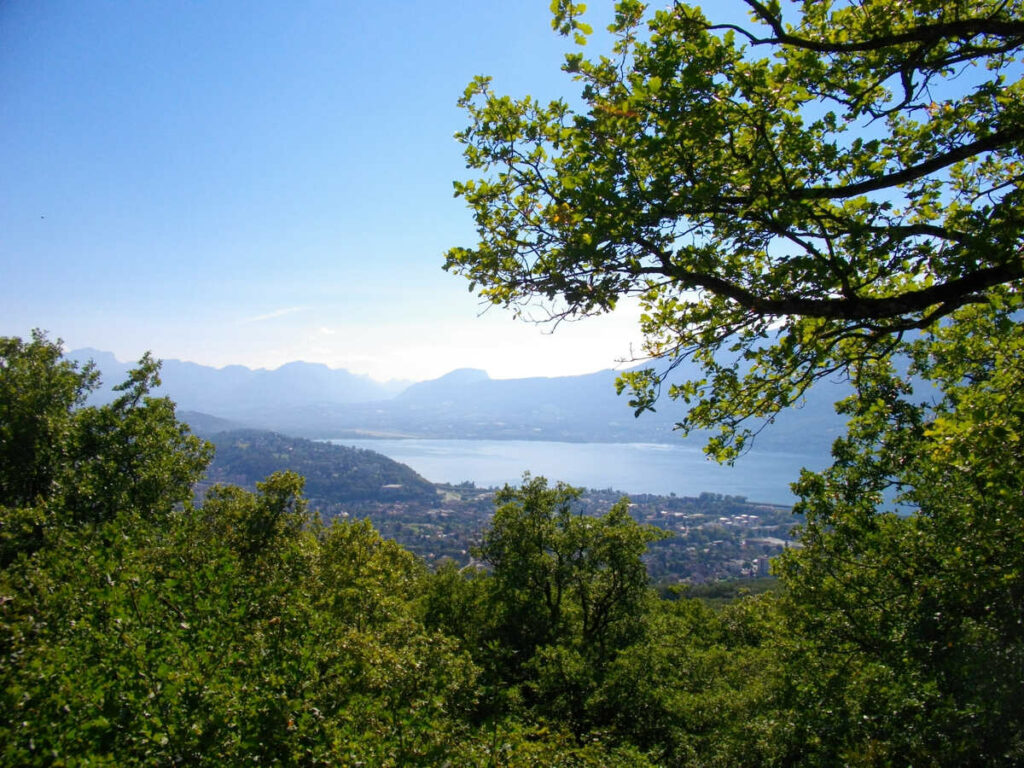 panorama foret corsuet aix les bains