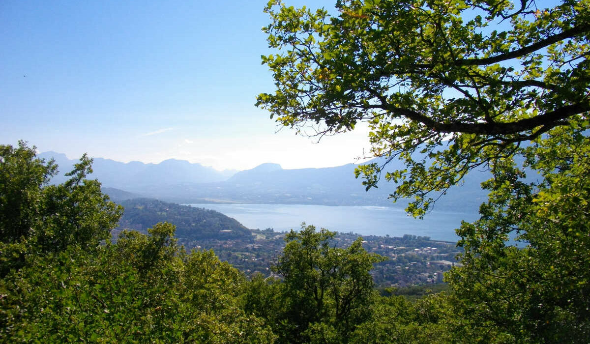 panorama foret corsuet aix les bains