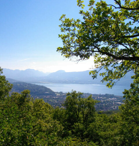 panorama foret corsuet aix les bains