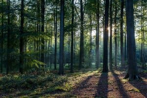 foret lac du bourget