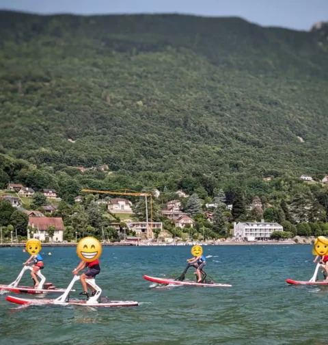 Paddle bike Lac du Bourget