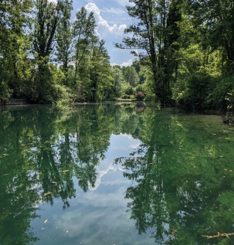 idée sortie stand up paddle canal savières