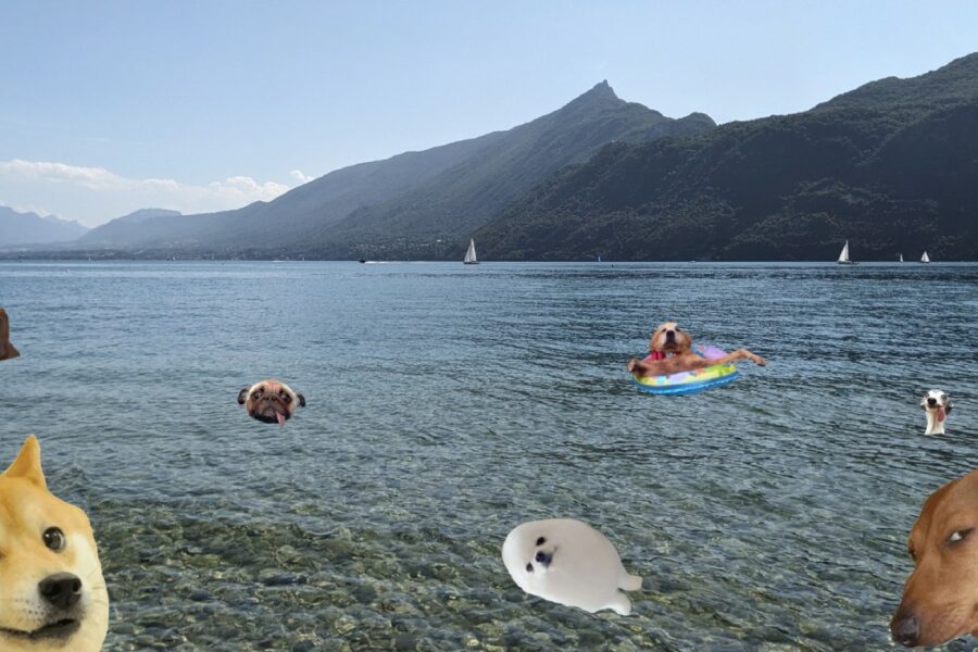 lieux baignade chiens lac du bourget