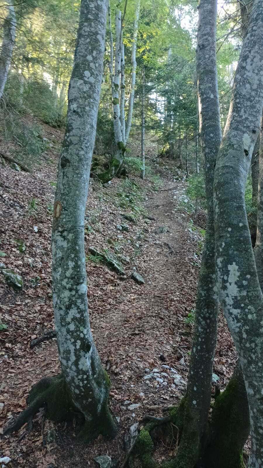 Pointe galoppaz randonnée