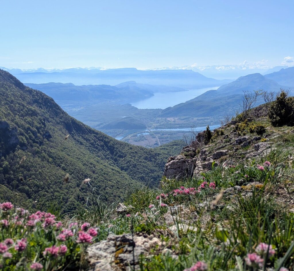 Rando Grand Colombier Lac du Bourget