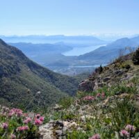 Rando Grand Colombier Lac du Bourget