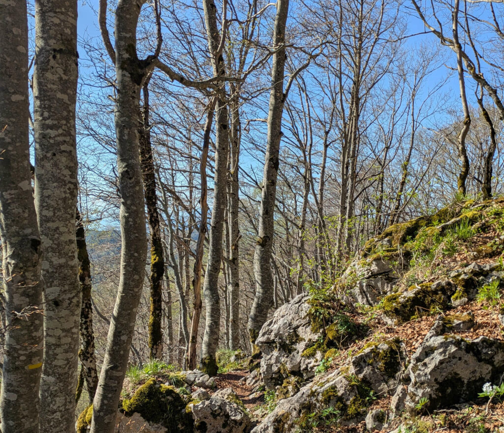 Randonnée Grand Colombier