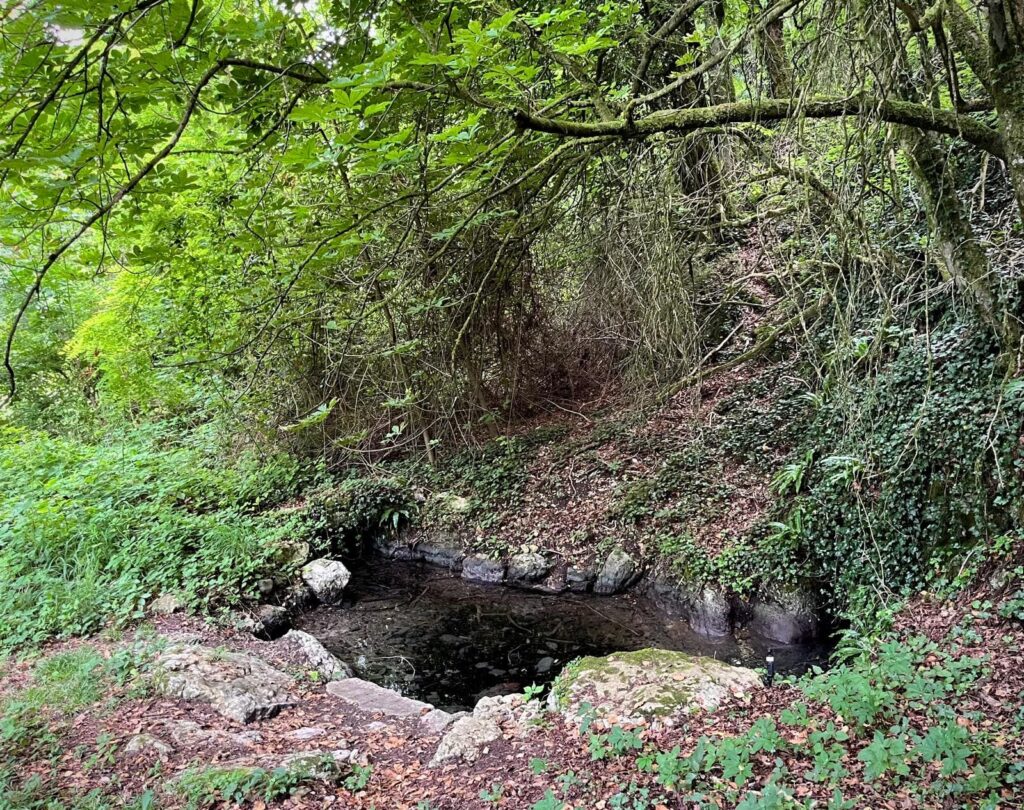 source jaillit lac du bourget