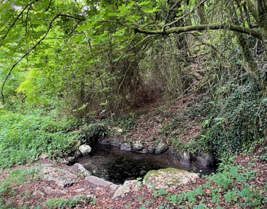 source jaillit lac du bourget