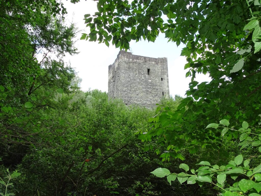 Promenade-au-Bourget-du-Lac-chateau