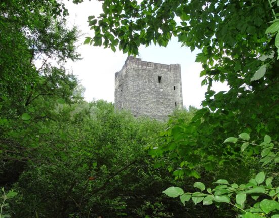 Promenade-au-Bourget-du-Lac-chateau