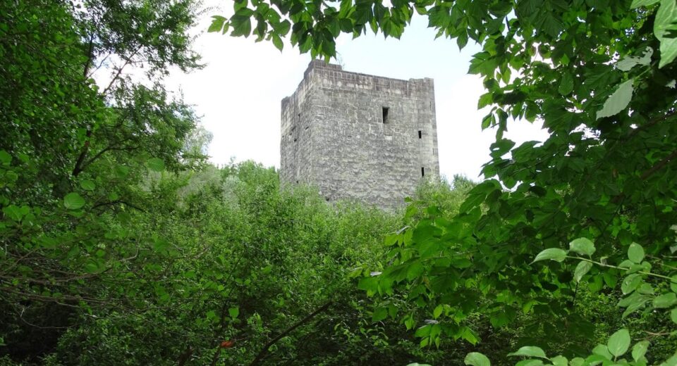 Promenade-au-Bourget-du-Lac-chateau