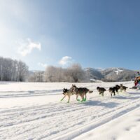 Grande Odyssée Revard Féclaz maelys-pommier