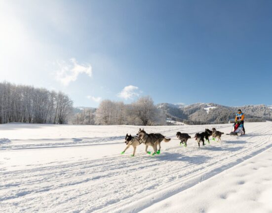 Grande Odyssée Revard Féclaz maelys-pommier