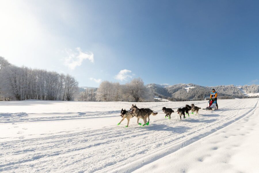 Grande Odyssée Revard Féclaz maelys-pommier