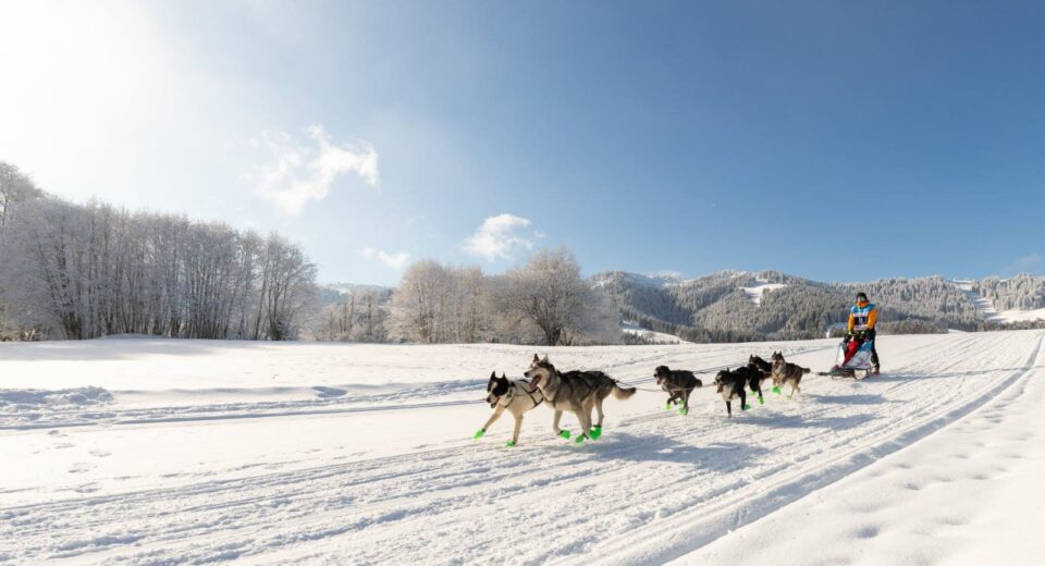 Grande Odyssée Revard Féclaz maelys-pommier