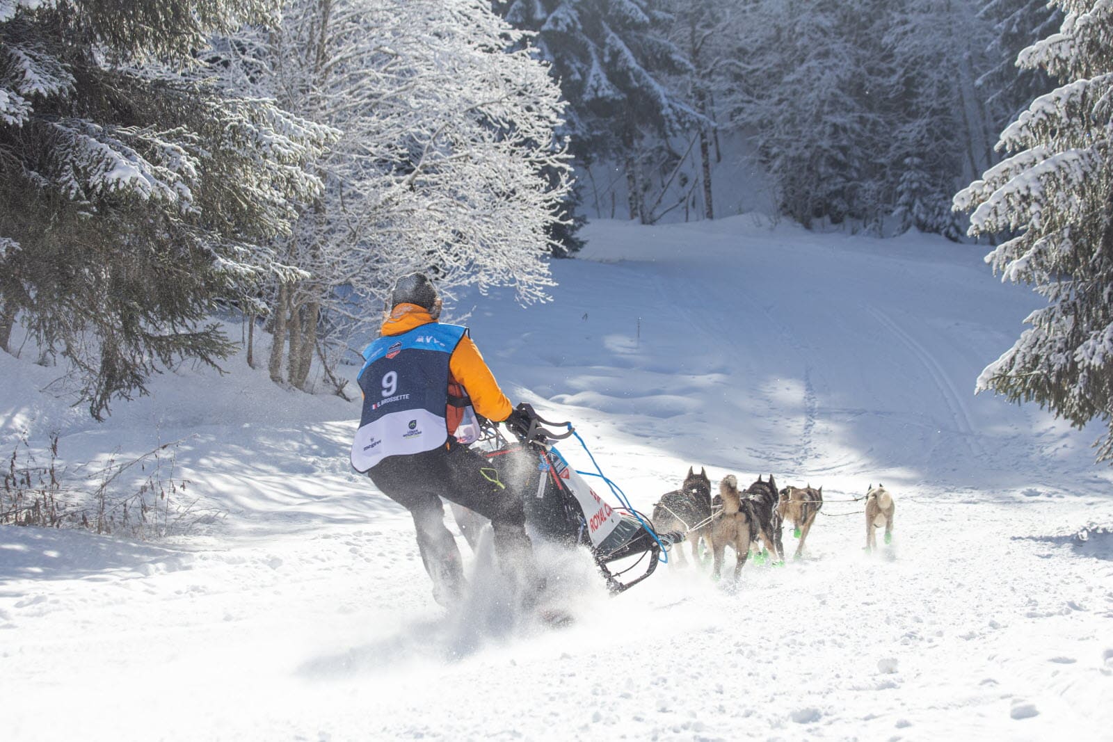 Grande Odyssée Savoie Grand Revard fx-repellin