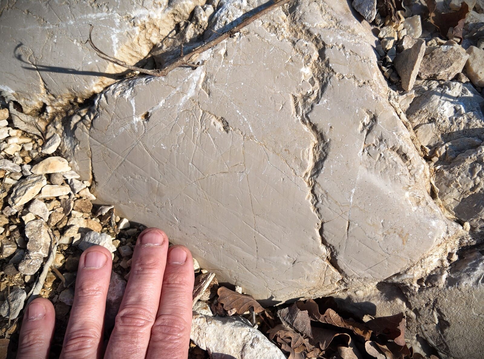 Lac du Bourget glacier