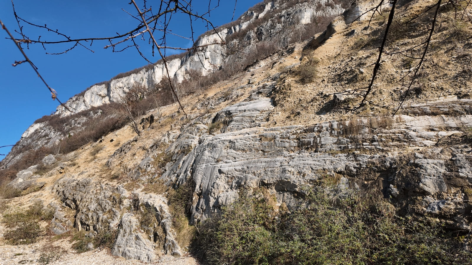 Lac du Bourget moraine