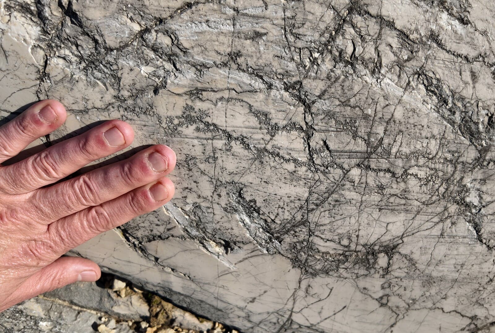 Lac du Bourget moraines