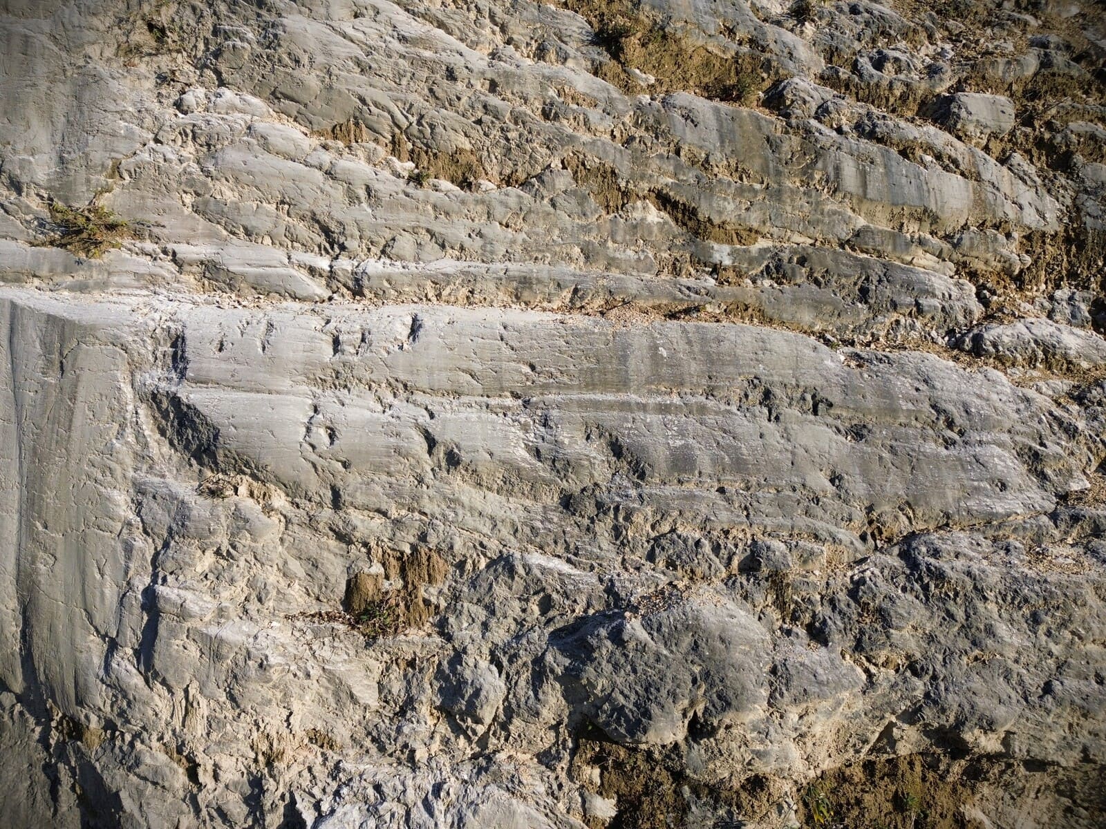 Moraine glacier lac du Bourget
