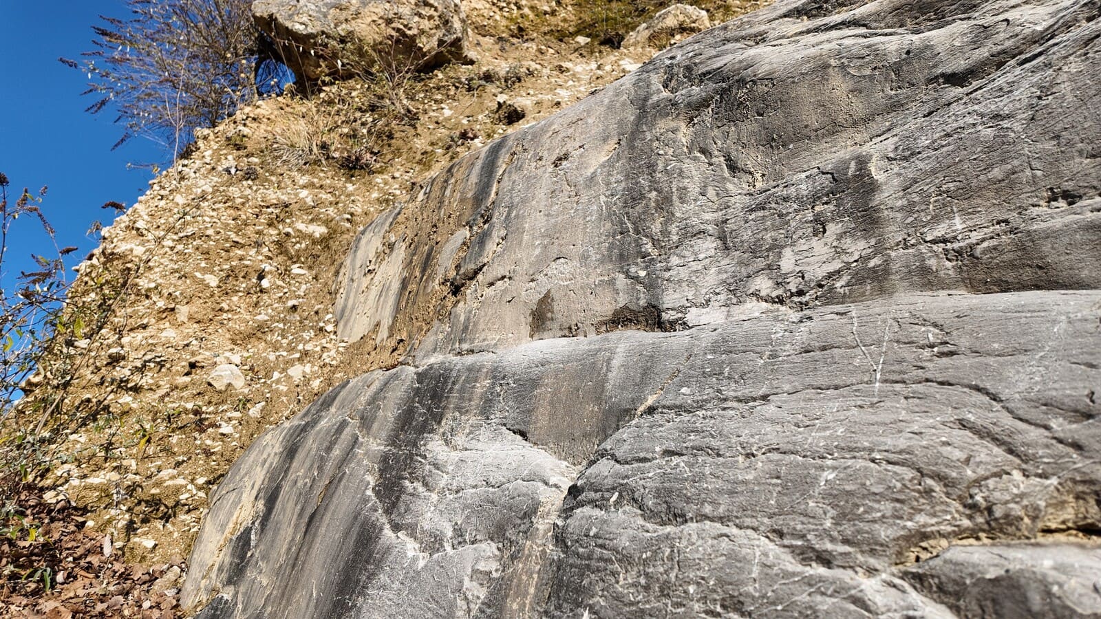 Moraines glacier lac du bourget colombier