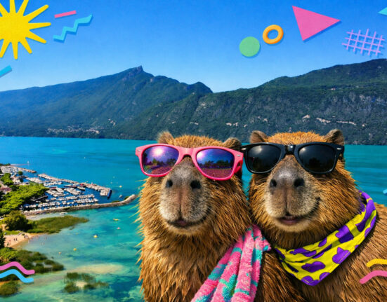 Plages du lac du Bourget