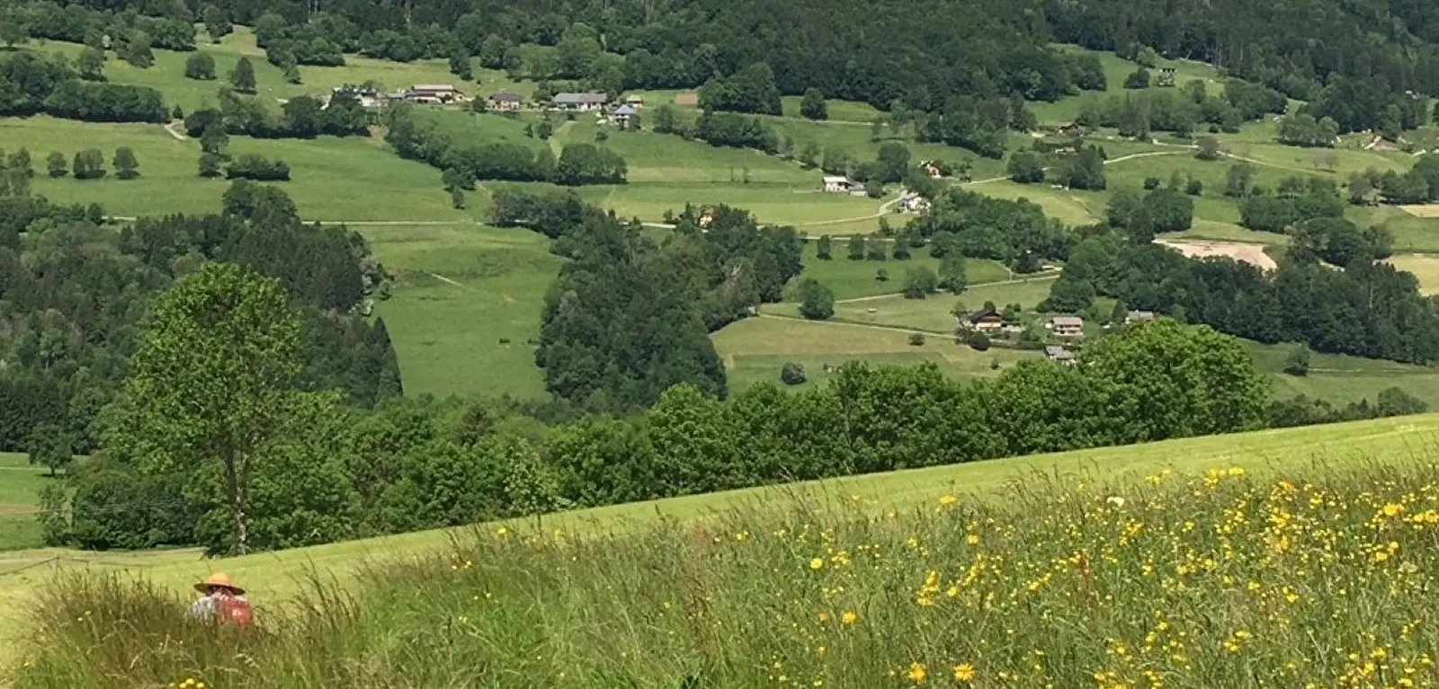 Poèmes en prairie fleurie l Renc'Arts du Parc