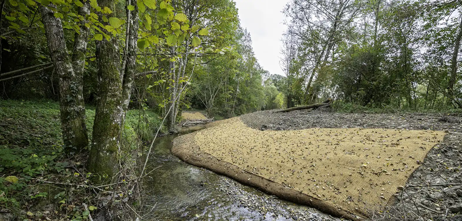 Découverte de la gestion d’une peupleraie et de sa faune Découverte de la gestion d'une peupleraie et de sa faune