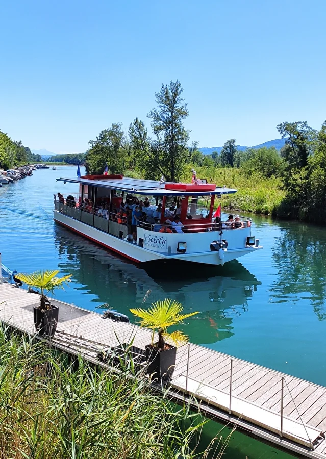 Api croisière à Chanaz