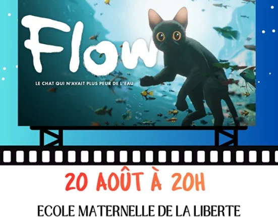 Ciné plein air à l'École maternelle de la Liberté