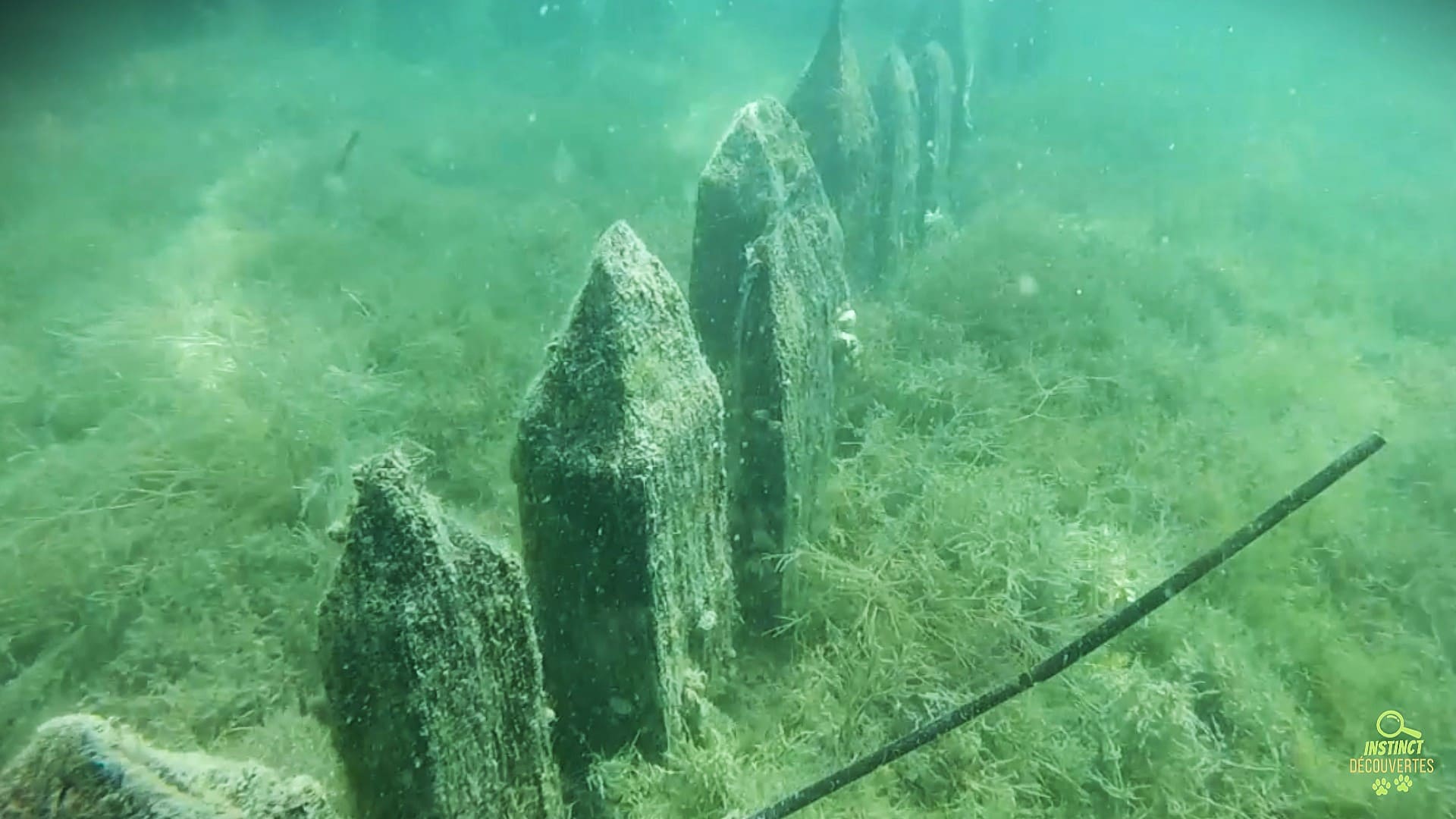 palafittes du lac du Bourget