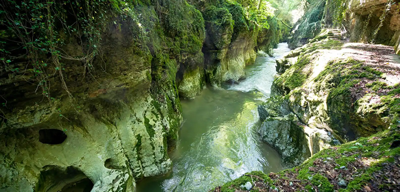 Visite guidée des Gorges du Sierroz