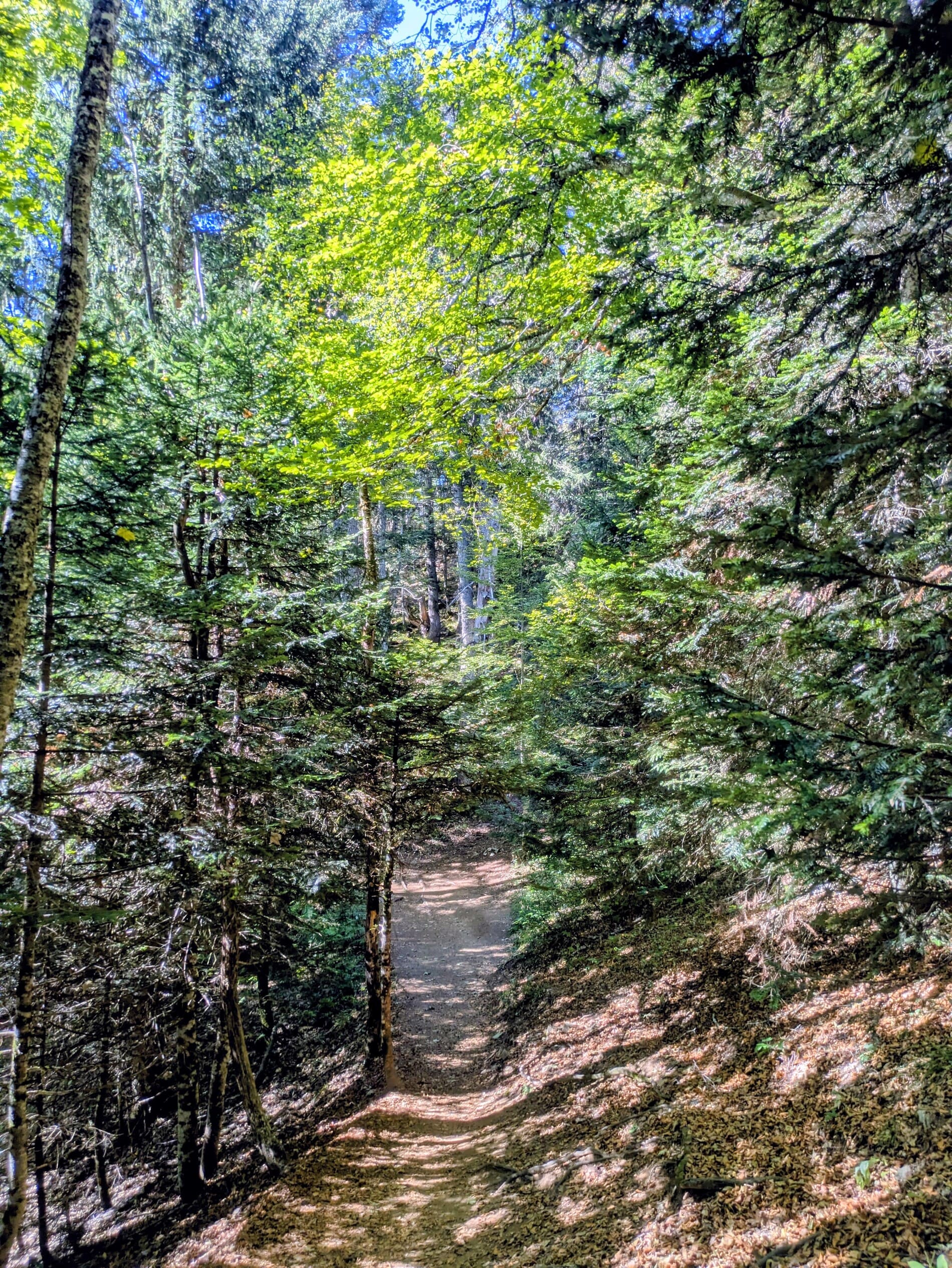 Topo randonnée vers Croix du Nivolet