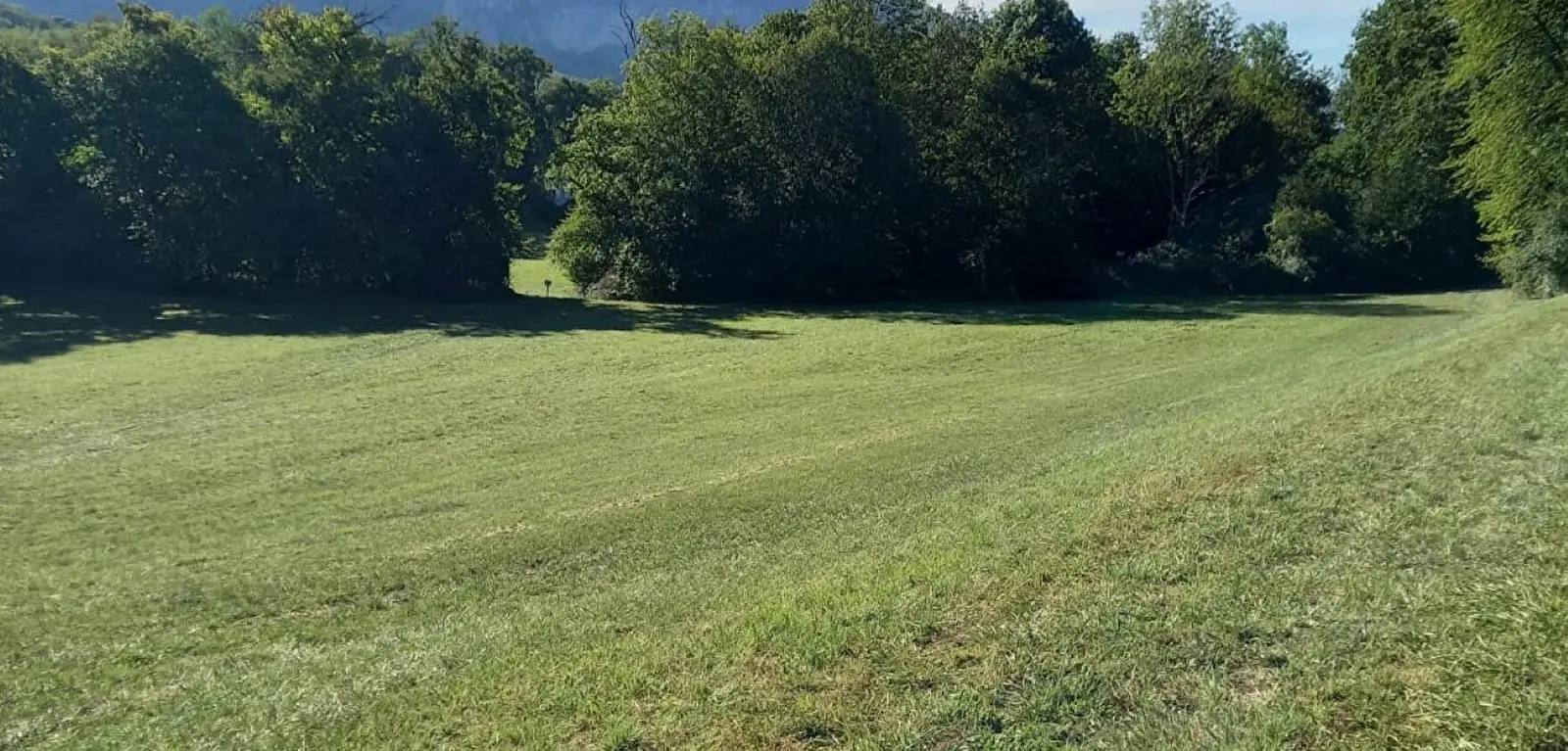 Observation de la faune et flore à Mouxy