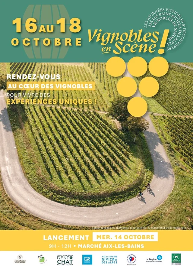 Visite du Musée Romain et Dégustation de Vins à Aix-les-Bains
